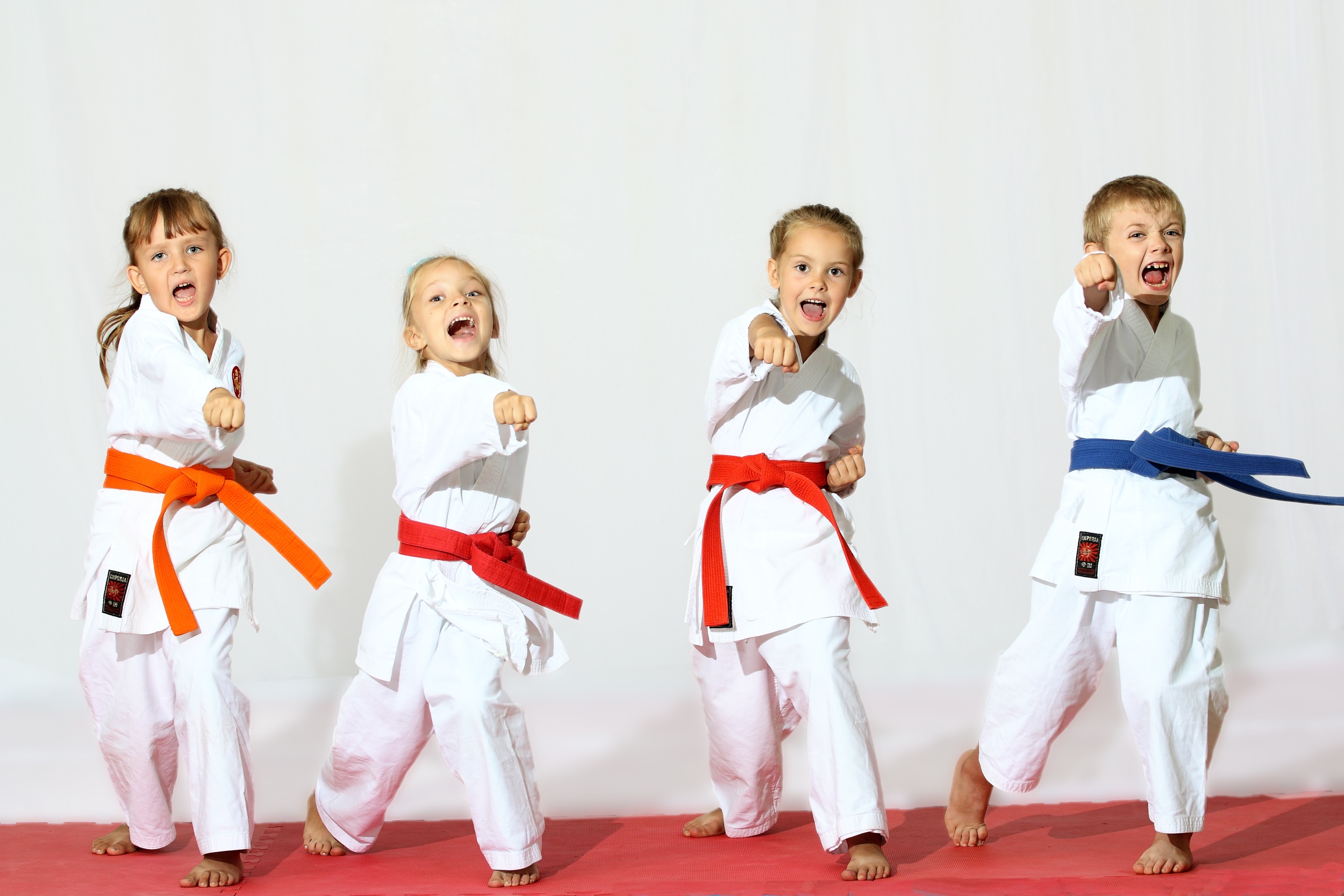 detsekcii_karate detsekcii_karate