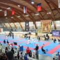 XV Открытый турнир по каратэ
