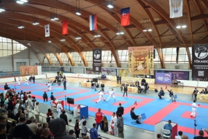 XV Открытый турнир по каратэ