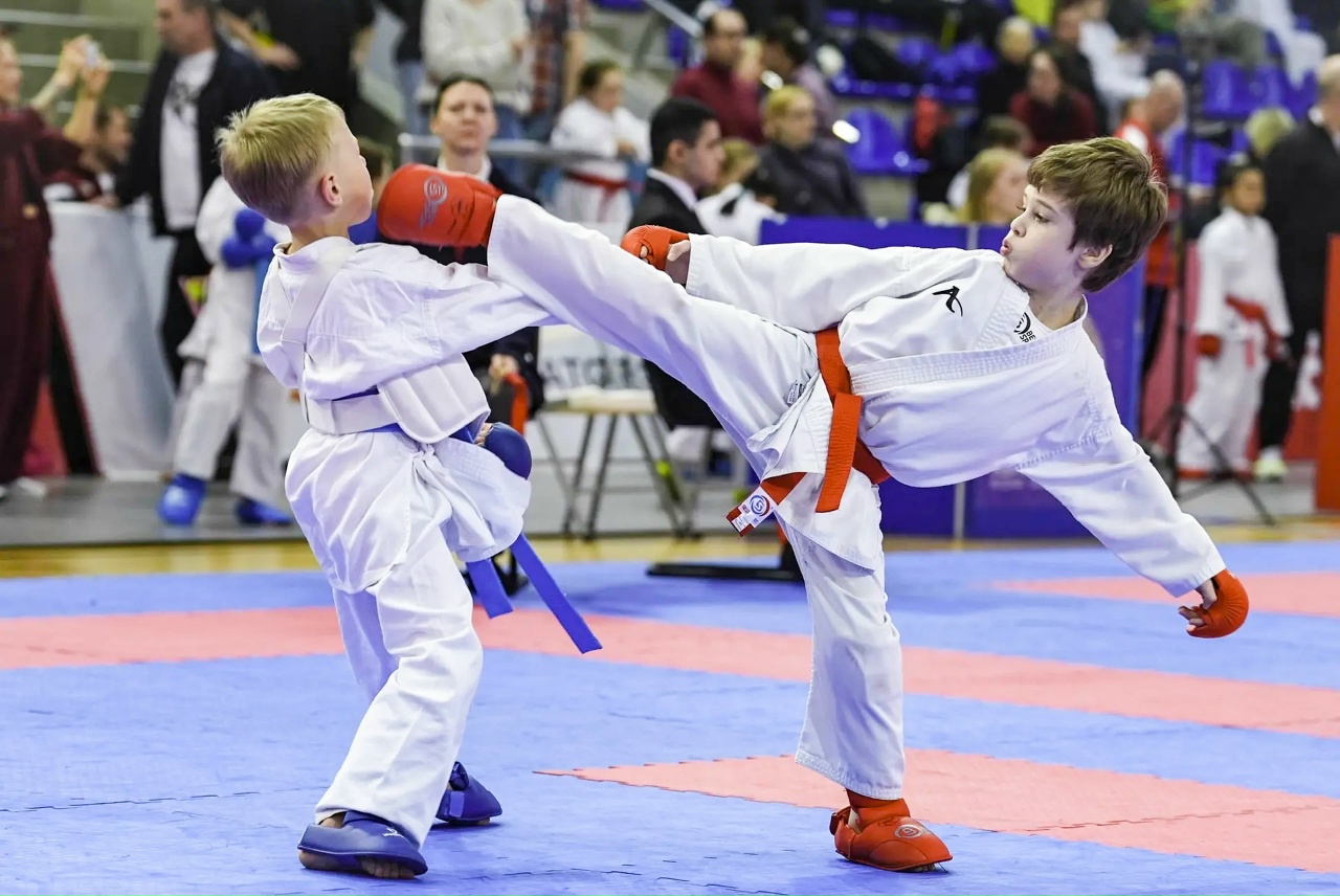 Итоги XVIII открытого детского турнира по каратэ «Первые шаги»