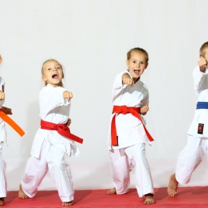 detsekcii_karate
